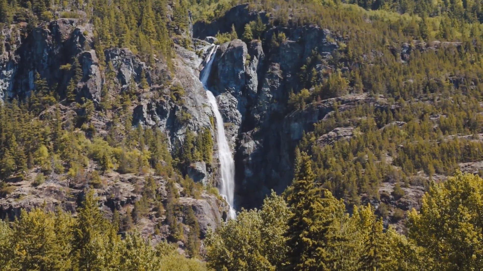 Wildfire Resiliency in Nuxalk territory