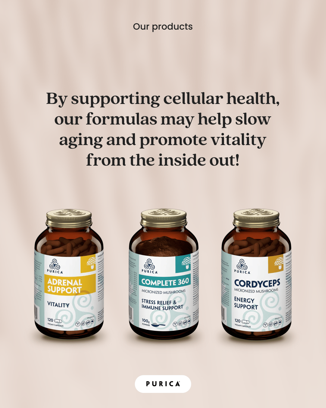 Purica Partnership 25 Purica Social AntiAging2 - Purica Partnership