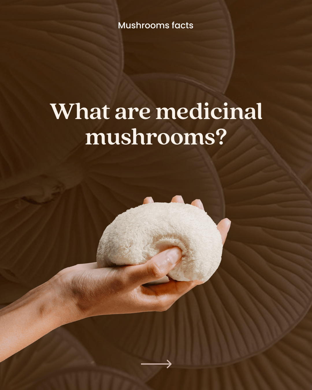 Purica Partnership 25 Purica Social whataremushrooms 1 - Purica Partnership