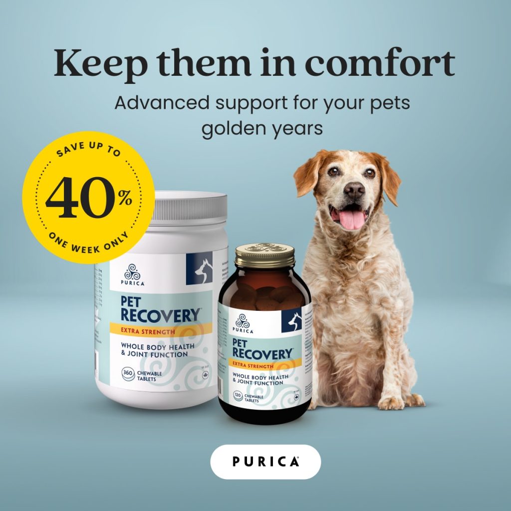 Purica Partnership Purica Meta Sale25 Pets V1.1 1x1 Oct 2024 1024x1024 - Purica Partnership